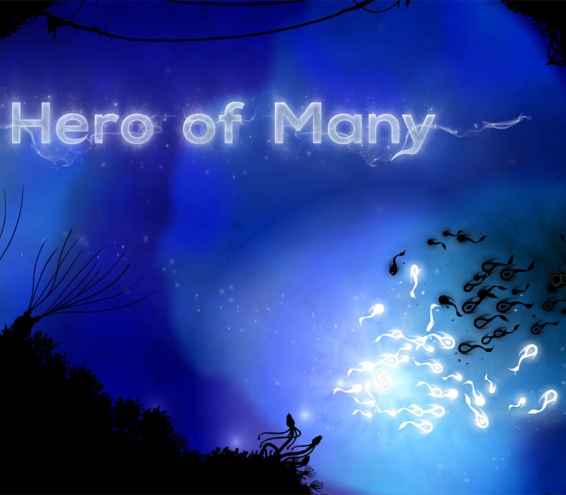 Hero of Many Steam CD Key