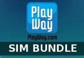 PlayWay’s Sim Bundle Steam CD Key