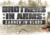 Brothers in Arms: Earned in Blood Steam Gift