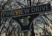 Pineview Drive Steam CD Key