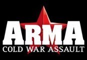 Arma: Cold War Assault Steam Gift